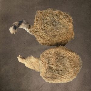 2 VINTAGE 1950 DAVY CROCKETT STYLE RACCOON FUR COONSKIN CAPS W/RACCOON TAIL SZ Y
